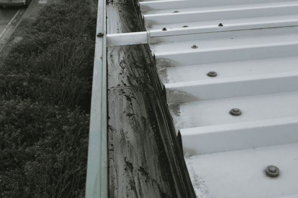 Commercial gutter cleaning specialists in Esher